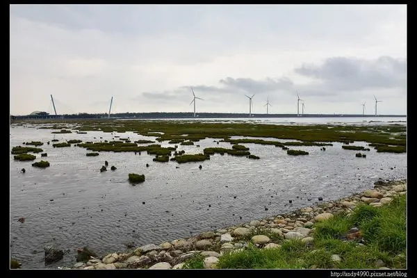 20160312高美濕地