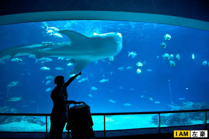 [遊記] 屏東。國立海洋生物博物館 (帶小泡菜看大魚去)