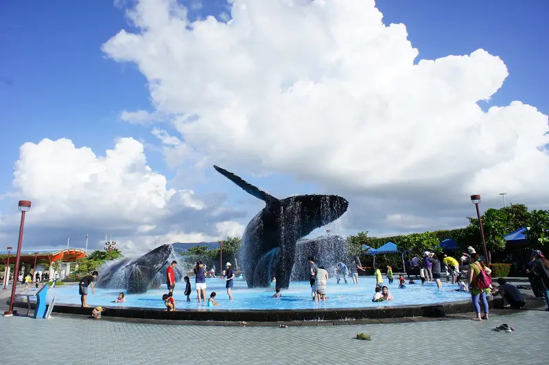 抓住秋天的尾巴@海洋生物博物館
