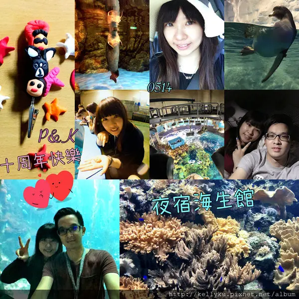✤[遊記][屏東車城] P&K 十周年--夜宿海生館，在隧道裡與魚兒們共眠~