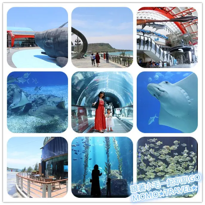 屏東旅遊-國立海洋生物博物館 媲美國際級別的博物館~ 3大主題陪你遨遊一整天