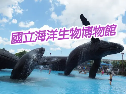 【屏東旅遊】屏東 國立海洋生物博物館 雀斯派倫特．費雪的秘密 夏天必來 耗上一整天都可以