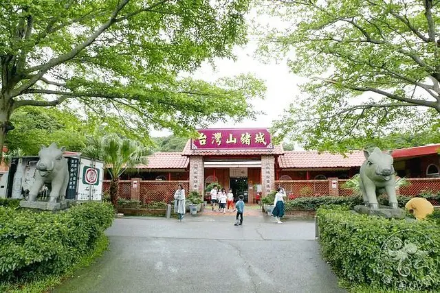 新北林口親子景點【台灣山豬城】隱藏山林中的台灣味餐廳，免費招待手工麵線、水果、小菜，白飯無限續！免費入園餵食小動物，難得一見孔雀、鱷魚、水牛、山豬等多種小動物，彷彿進入一座小型動物園！