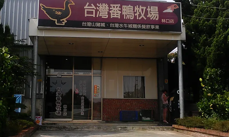 台灣番鴨牧場(林口店)