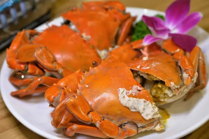 珍寶燒肥鵝餐廳｜秋蟹新鮮清蒸處女蟳登場！必點招牌雙醬燒鵝！台中桌菜推薦、台中中式推薦、台中熱炒推薦、北區餐廳推薦、北區桌菜推薦、北區熱炒推薦