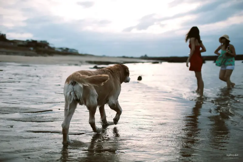 那淺水灣的踏浪探險隊