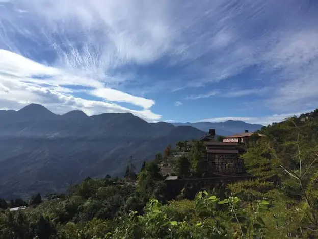 【親子旅遊】《寵物友善民宿》南投清境-普羅旺斯玫瑰莊園~小小孩&毛小孩的超輕輕旅行
