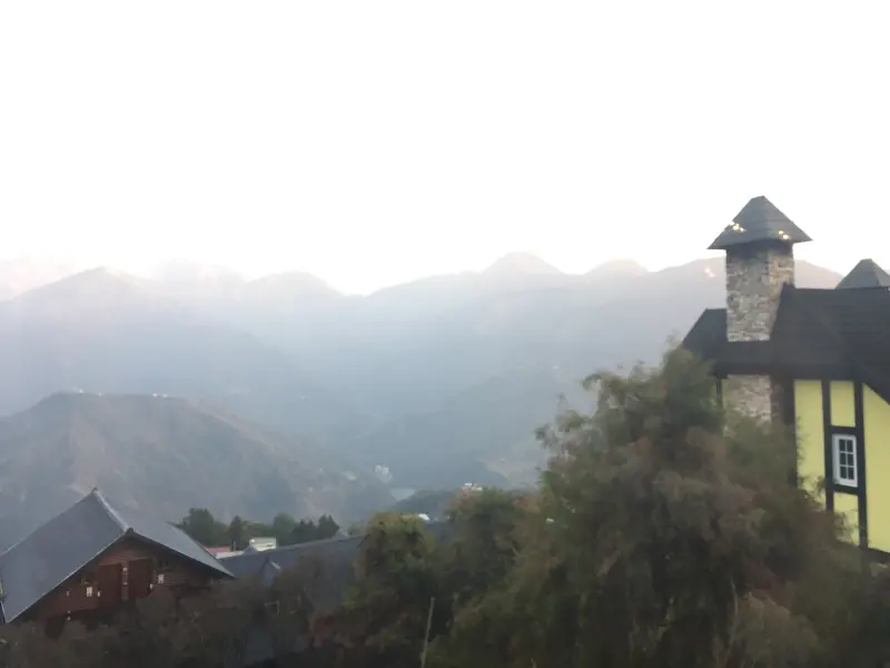 像是置身在國外的普羅旺斯玫瑰莊園,美麗又浪漫!