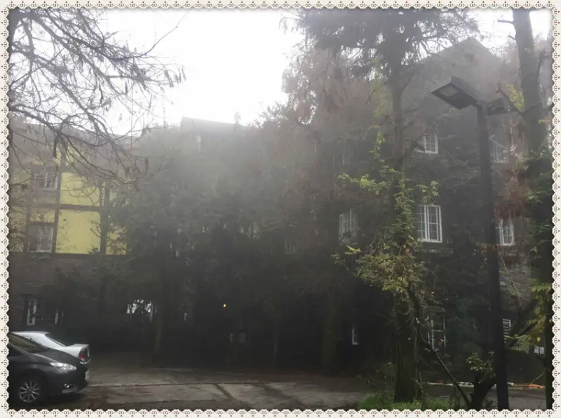 【宿】清境普羅旺斯-彷彿來到真的歐洲莊園