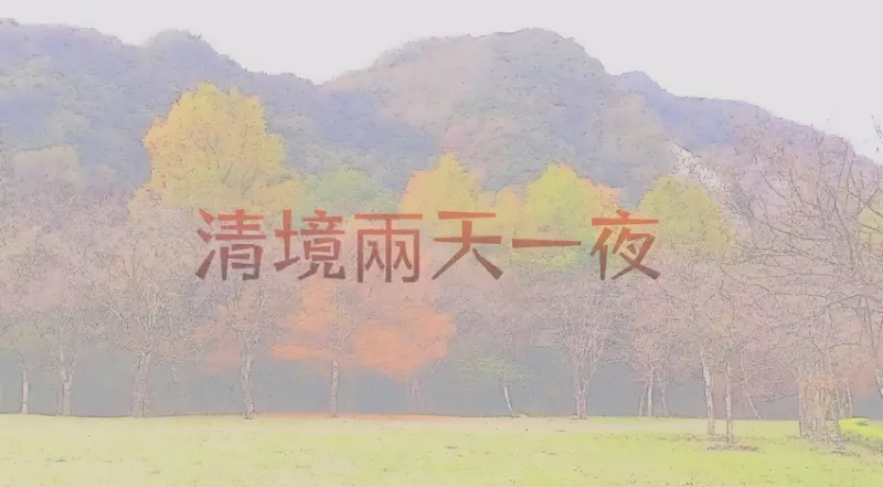 帶你走入異國風情//賞花季/落羽松 楓葉