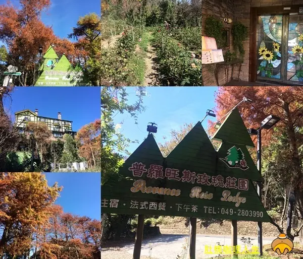 一次蒐集南投必踩景點||春節景點+住宿+美食(三天兩夜行程)