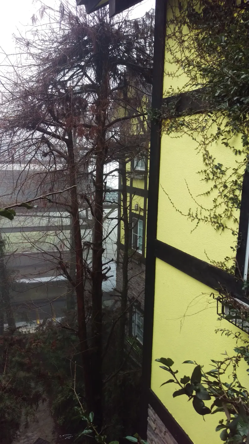 上山下海一次滿足,三天兩夜放鬆之旅~