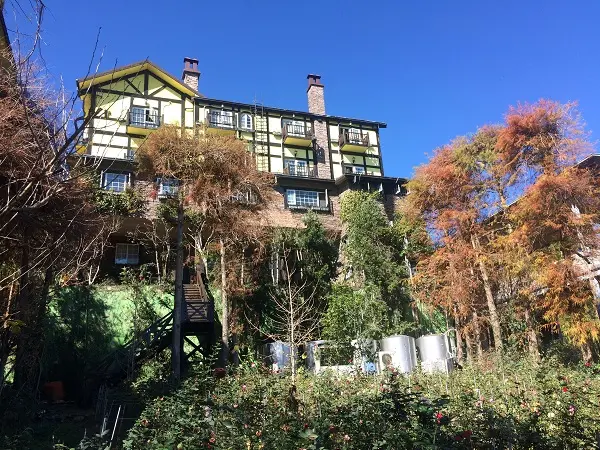 南投|被滿滿落羽松包圍的清境民宿-普羅旺斯