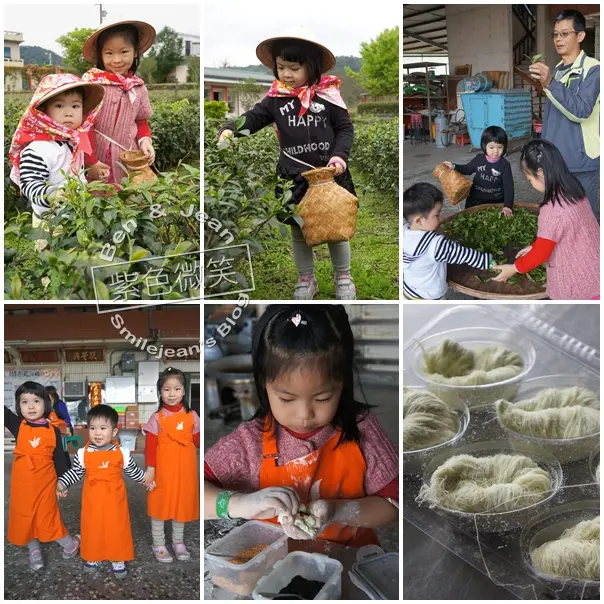 ▋瓏山林蘇澳冷熱泉度假飯店▋冬山.祥語有機農場~茶香體驗小旅行。館外採茶&龍鬚糖DIY