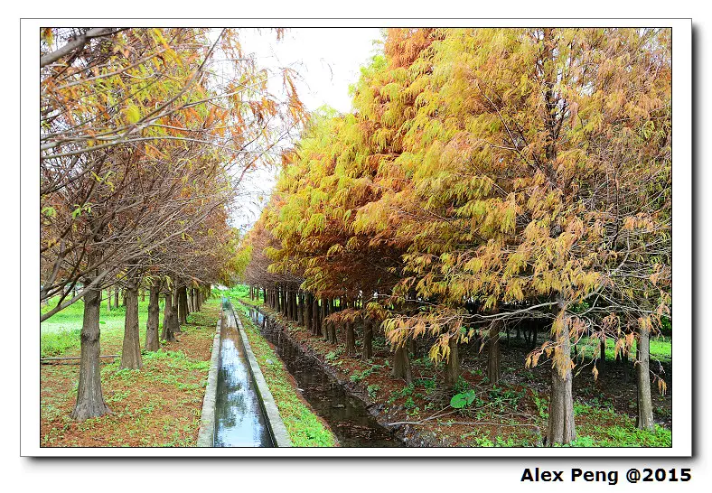 宜蘭-野夫炊煙+幾米廣場