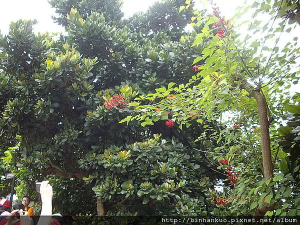 遊記----野柳地質公園(2)