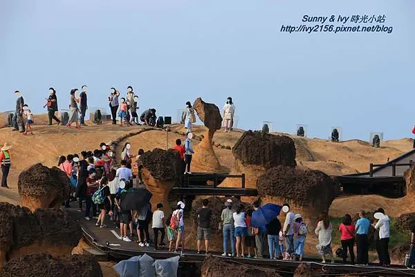 【新北萬里旅遊】野柳地質公園。大自然的雕刻師值得觀賞，美麗海景保證玩拍不停，老少咸宜最佳去處 