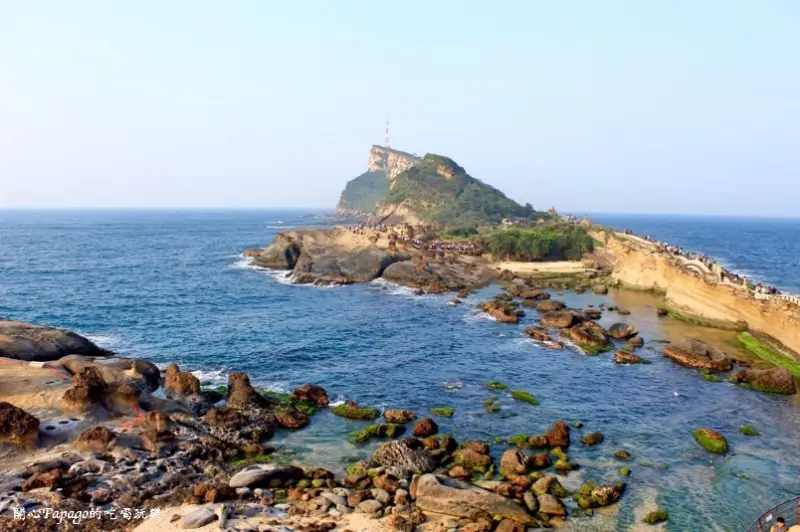 【野柳地質公園】觀世界級奇景