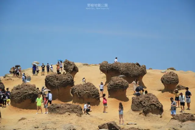 新北。萬里。蘊藏瑰麗想像力的地質教室 / 野柳地質公園