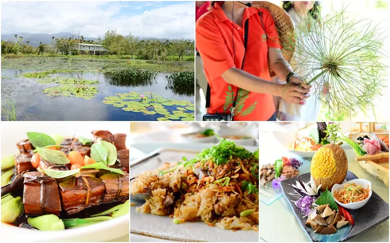 【旅遊美食】宜蘭縣。員山鄉《勝洋水草休閒農場》水生植物主題景點 x 特色水草創意料理餐廳