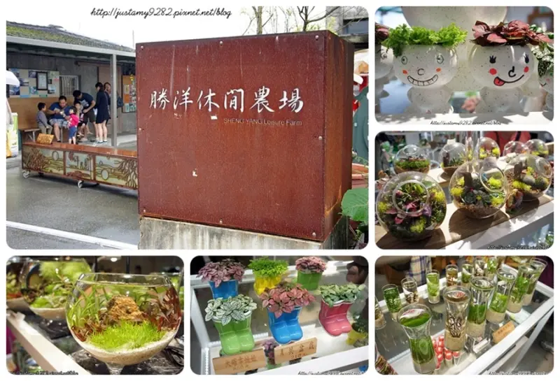 遊記 ☞ 宜蘭/員山 ▍勝洋休閒農場 ▍雨天景點推薦!!!