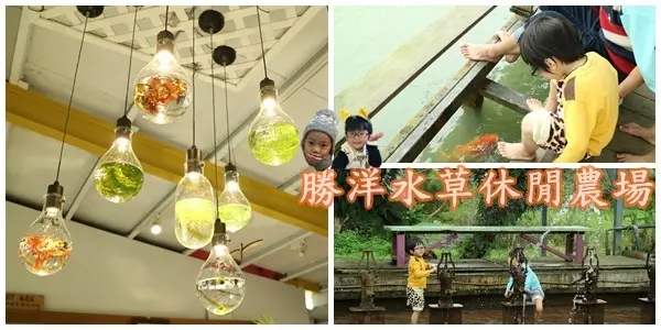 宜蘭旅遊景點||勝洋水草休閒農場~夏日幫浦打水仗 觀察自然生態 划船 釣魚||水草瓶DIY 鋼筆DIY 豐富的親子行程!