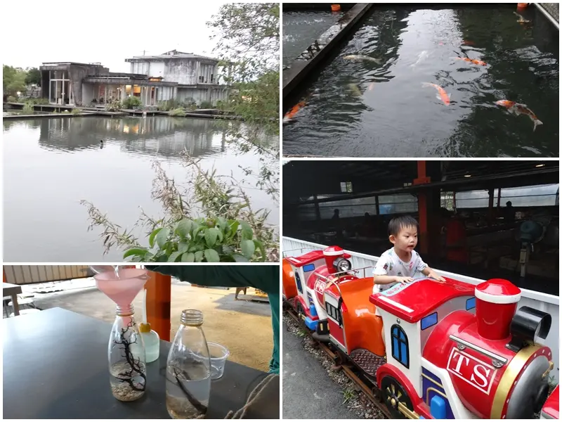 【宜蘭員山】勝洋水草休閒農場 偶像劇/電影/MV熱門拍攝景點 戲水/釣魚/生態瓶DIY