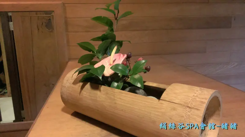 豬豬半日遊-陽明山泡湯品甜點