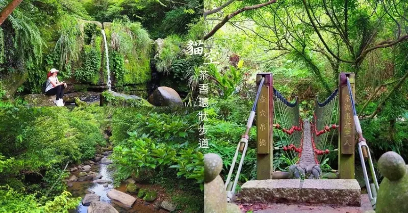 貓空秘境：壺穴平台 茶香環狀步道