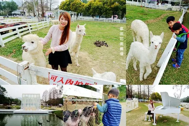 桃園大溪一日遊 ▶ 富田花園農場 ▶ 草皮上奔跑的草泥馬與可愛動物 浪漫水晶教堂、LOVE造景 桃園景點 桃園農場 桃園IG打卡