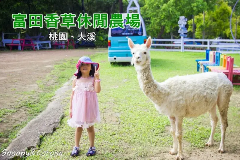 【玩樂．桃園】大溪景點／富田香草休閒農場～夢幻水上玻璃教堂、近距離餵養小動物，好玩好拍適合情侶與親子
