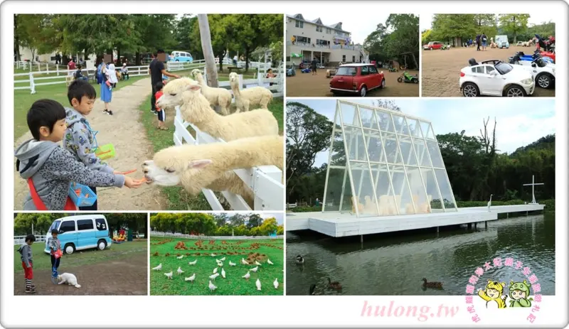 富田花園農場🔹桃園大溪愛情城堡🔹婚紗聖地 也是親子遊的草泥馬動物區! - 虎虎龍龍*珍太妃