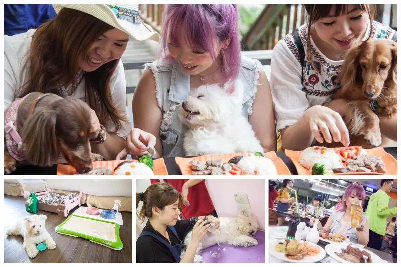 [桃園楊梅]桃園寵物友善飯店，毛孩們的歡樂天堂，東森山林渡假酒店全攻略 - 大手牽小手。玩樂趣