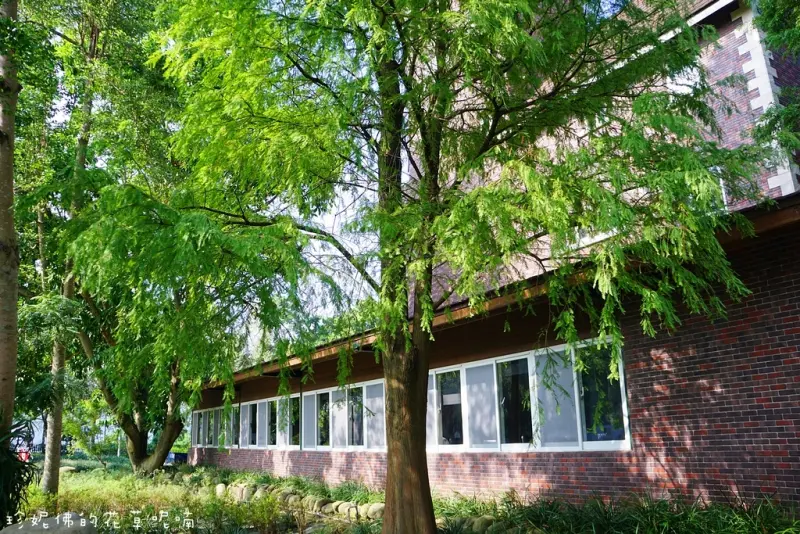 【桃園-大溪區】河岸童話森林→已更名為「歡樂夢想國」