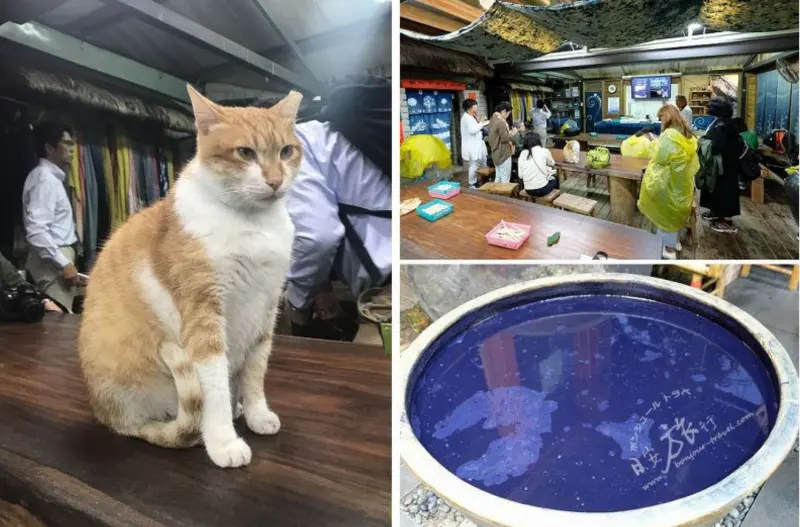 客家桐花季~在地客家風情、尋幽訪古秘境大公開(卓也小屋)