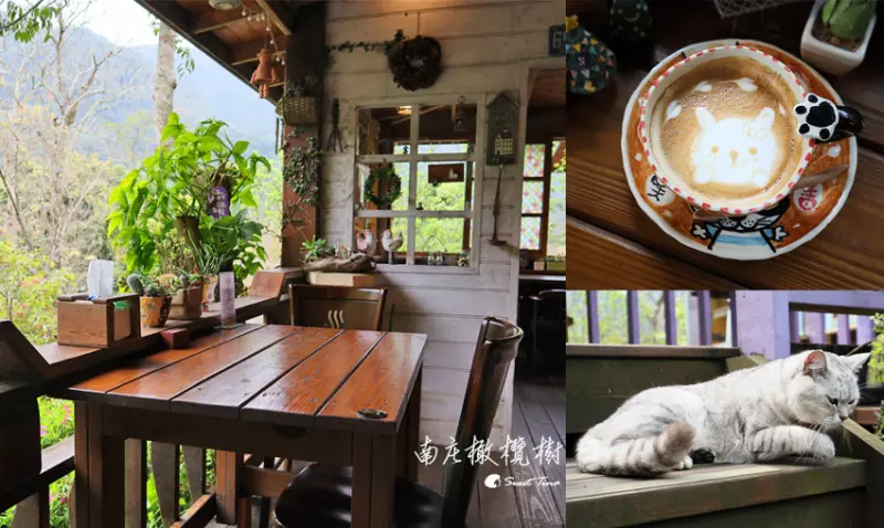 【苗栗南庄美食】南庄橄欖樹咖啡民宿 - 森林童話般的氛圍 / 貓咪拉花咖啡 / 店貓超萌超可愛 / 鄰近南庄老街