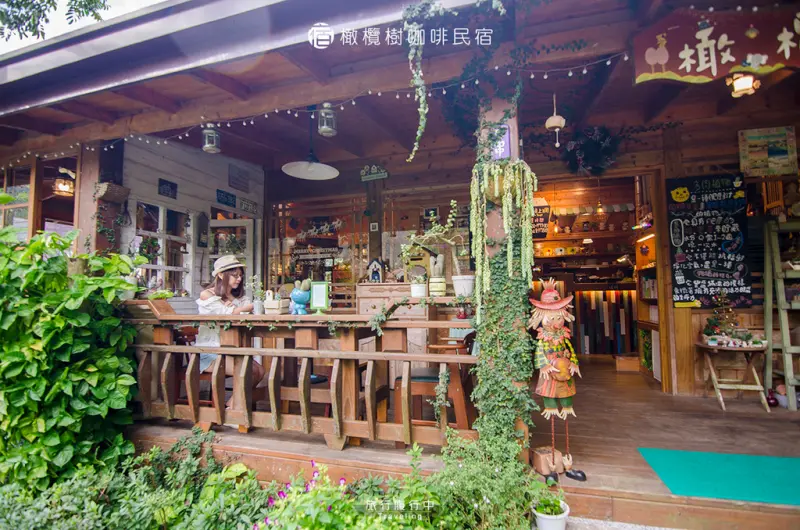 【苗栗住宿推薦】橄欖樹咖啡民宿，走進童話般的異想森林小屋