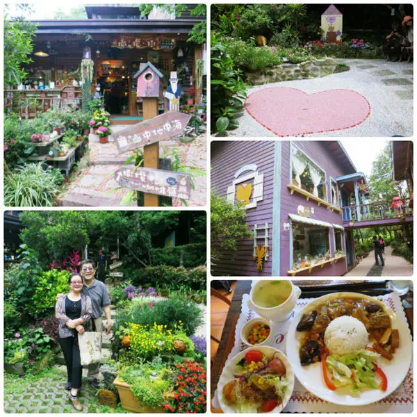 *苗栗景點*橄欖樹咖啡民宿，童話般的紫屋咖啡廳，瀰漫療癒的氛圍~