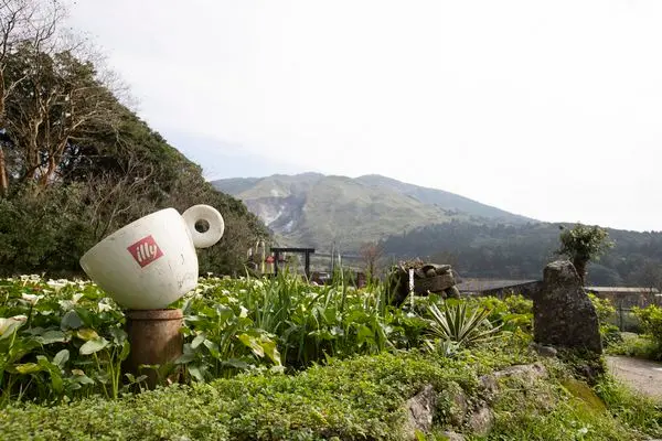 陽明山竹子湖綠山谷 - 簡簡單單的美好