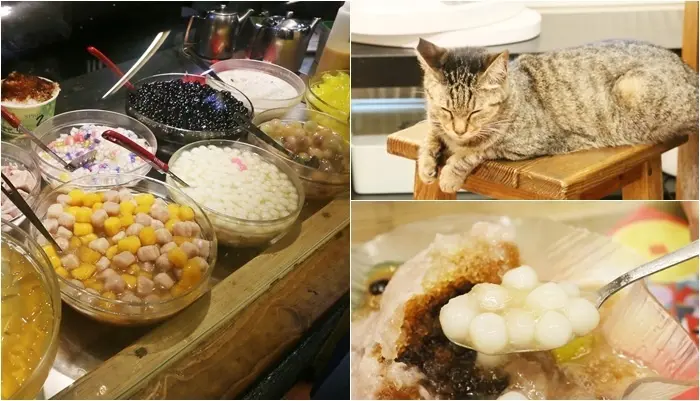 北投美食/石牌排隊小吃『豆花林』有機豆花、刨冰、甜湯、菜單價位、可愛店貓(捷運石牌站)