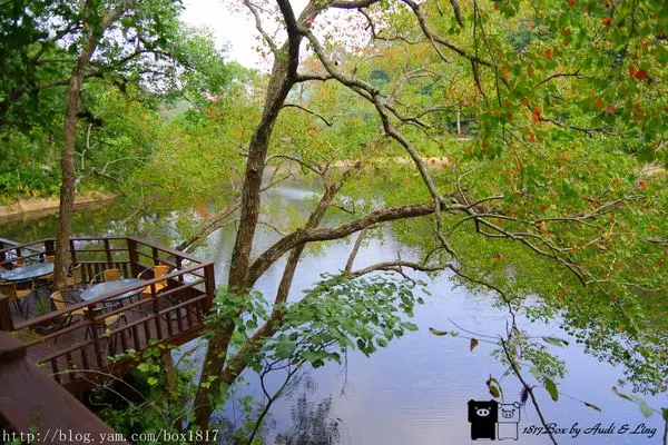 【苗栗。大湖】湖畔花時間。依山傍水。山水交織美景如畫