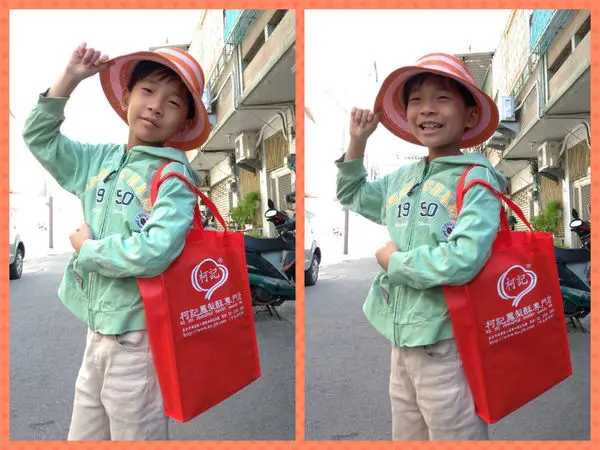 年節禮盒推薦~台北松山伴手禮/柯記鳳梨.鳳黃酥.蛋黃酥禮盒，送禮自用好看又大方。
