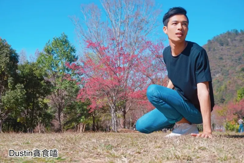 『奧萬大國家森林遊樂區』 八重櫻 · 春櫻綻放/ 楓情萬種 / 落羽松林｜高深莫測の奧萬大吊橋【南投仁愛】