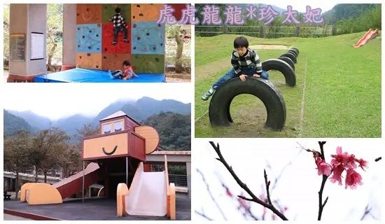 『特色小學』這間小學猴塞雷~巨大猴大溜滑梯x攀岩牆x體能區x沙坑 還能賞櫻花||猴硐國小!