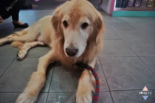 [ 食記 台北 ] 西門町｜阿毛石鍋燉飯．別再被狗勾騙進來了