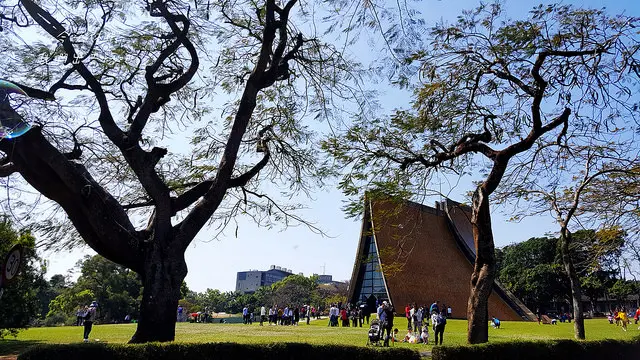在東海大學尋訪路思義教堂之美。文理大道探訪文學風情。乳品小棧吃冰。東海湖畔吹風賞景