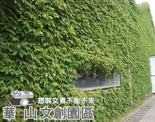 ❤ 台北 ❤ 華山文創園區，沒來過不要說自己好文青!! 