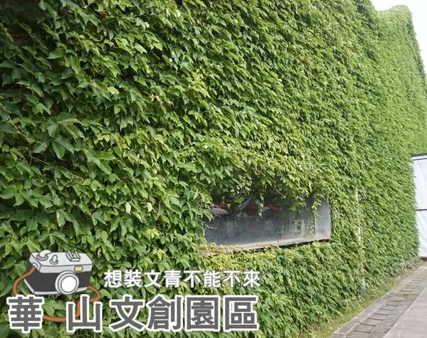 ❤ 台北 ❤ 華山文創園區，沒來過不要說自己好文青!! 