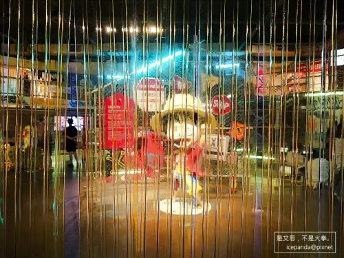 玩具解剖展之魯夫怎麼被解剖變骨頭了？