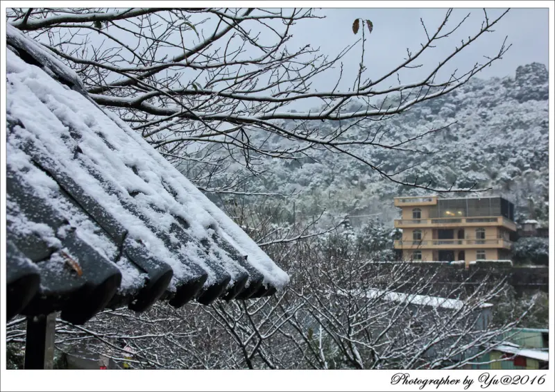 [遊記]【淡水線劍潭站】陽明山下雪了。白雪皚皚遍怖